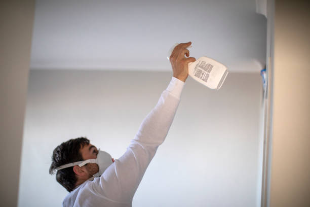 Mold Removal Process in Staunton, VA