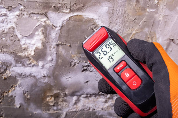 Best Office Mold Removal Services  in Staunton, VA