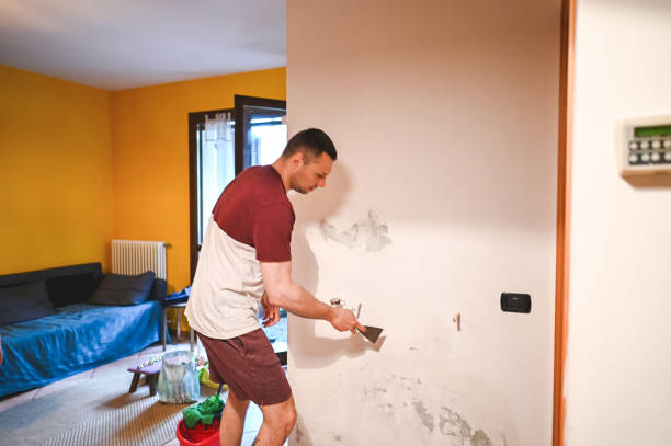 Best Emergency Mold Removal  in Staunton, VA